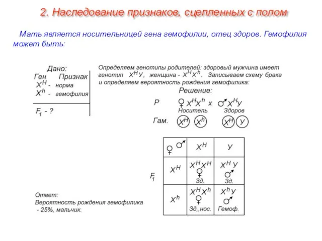 Мать является носительницей гена гемофилии, отец здоров. Гемофилия может быть: 2. Наследование признаков, сцепленных с полом