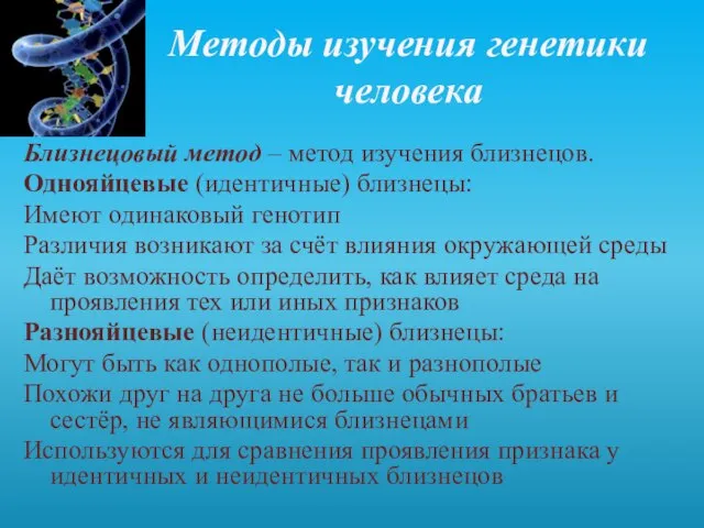 Методы изучения генетики человека Близнецовый метод – метод изучения близнецов. Однояйцевые (идентичные)