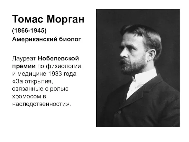 Томас Морган (1866-1945) Американский биолог Лауреат Нобелевской премии по физиологии и медицине