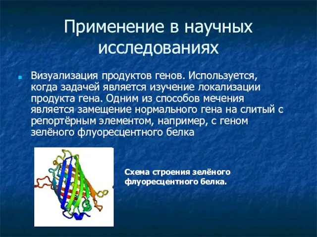 Применение в научных исследованиях Визуализация продуктов генов. Используется, когда задачей является изучение