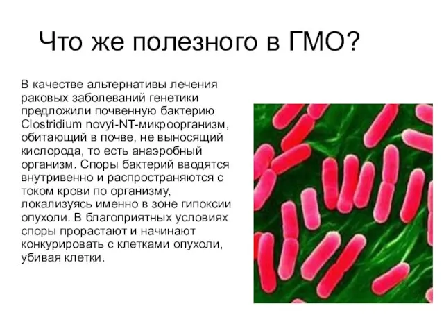 Что же полезного в ГМО? В качестве альтернативы лечения раковых заболеваний генетики