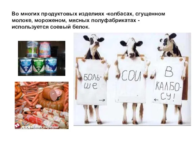 Во многих продуктовых изделиях -колбасах, сгущенном молоке, мороженом, мясных полуфабрикатах -используется соевый белок.