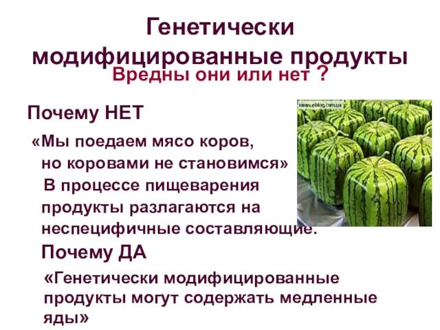 Генетически модифицированные продукты Вредны они или нет ? Почему НЕТ «Мы поедаем