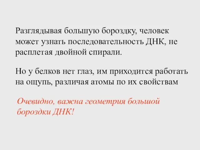 Разглядывая большую бороздку, человек может узнать последовательность ДНК, не расплетая двойной спирали.