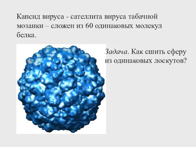 Капсид вируса - сателлита вируса табачной мозаики – сложен из 60 одинаковых