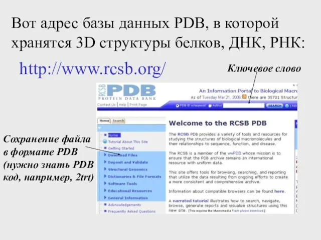 Вот адрес базы данных PDB, в которой хранятся 3D структуры белков, ДНК,