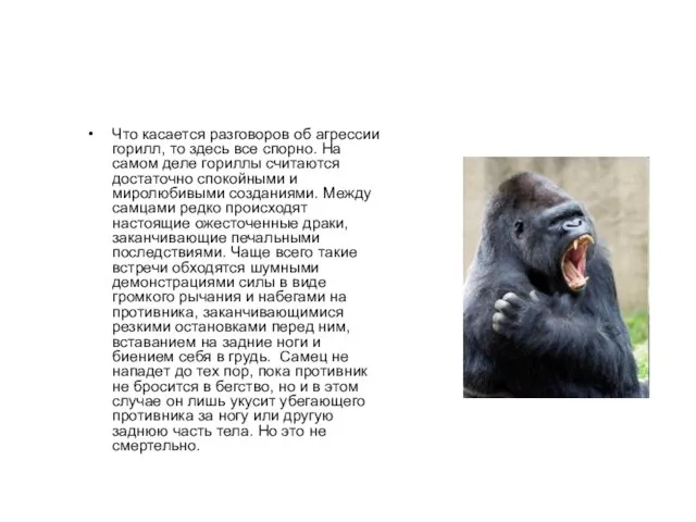 Что касается разговоров об агрессии горилл, то здесь все спорно. На самом