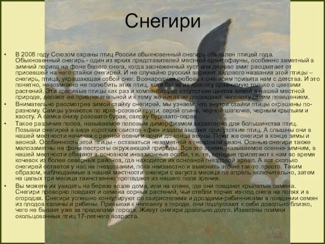 Снегири В 2008 году Союзом охраны птиц России обыкновенный снегирь объявлен птицей