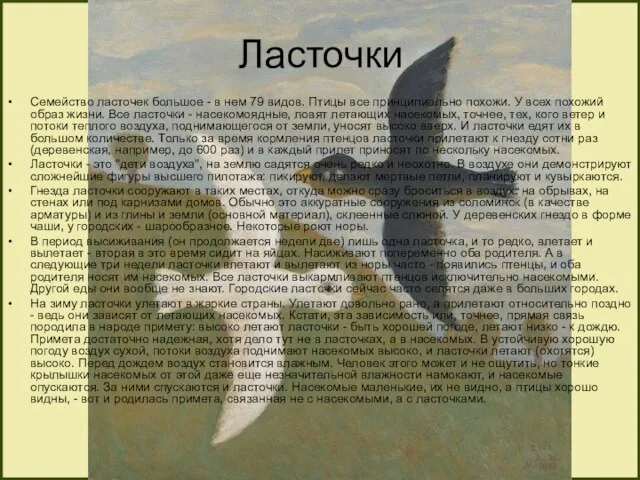 Ласточки Семейство ласточек большое - в нем 79 видов. Птицы все принципиально