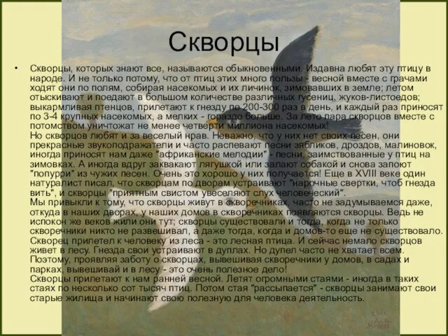 Скворцы Скворцы, которых знают все, называются обыкновенными. Издавна любят эту птицу в