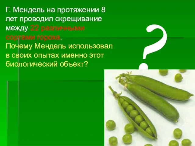 Г. Мендель на протяжении 8 лет проводил скрещивание между 22 различными сортами