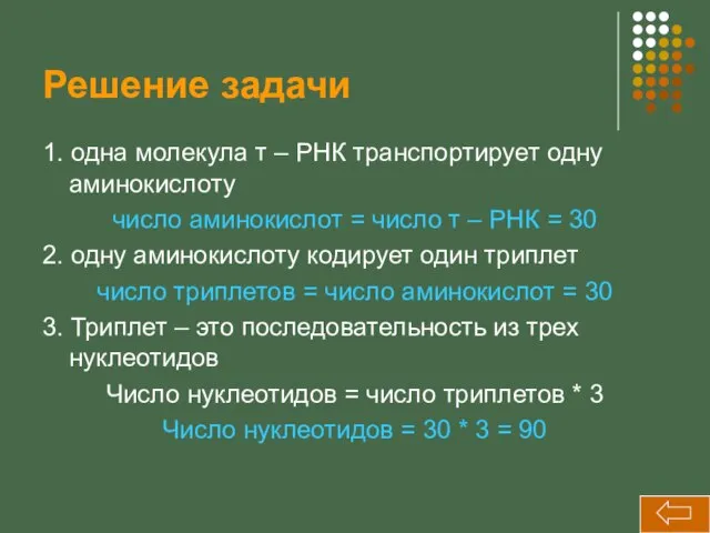 Решение задачи 1. одна молекула т – РНК транспортирует одну аминокислоту число