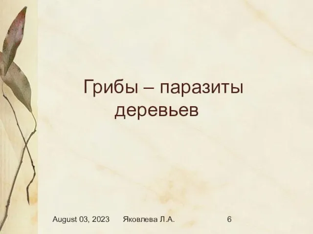 August 03, 2023 Яковлева Л.А. Грибы – паразиты деревьев
