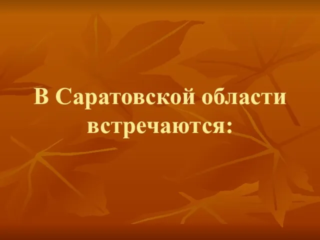 В Саратовской области встречаются: