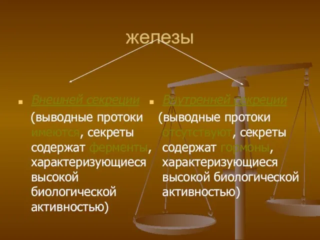 железы Внешней секреции (выводные протоки имеются, секреты содержат ферменты, характеризующиеся высокой биологической