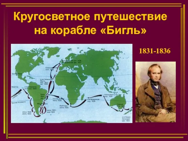 Кругосветное путешествие на корабле «Бигль» 1831-1836