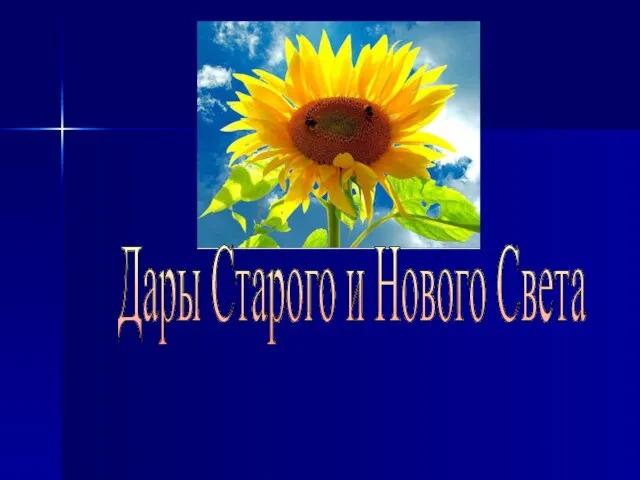 Дары Старого и Нового Света