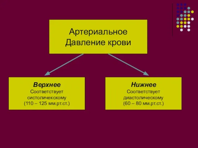 Артериальное Давление крови Верхнее Соответствует систоличекскому (110 – 125 мм.рт.ст.) Нижнее Соответствует