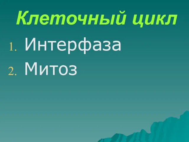 Клеточный цикл Интерфаза Митоз