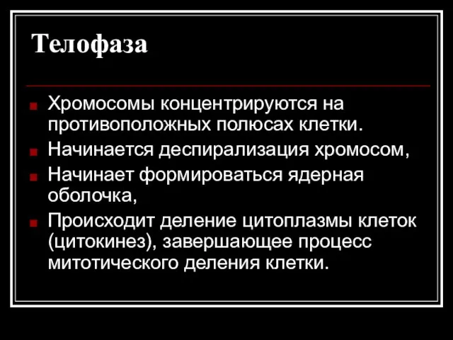 Телофаза Хромосомы концентрируются на противоположных полюсах клетки. Начинается деспирализация хромосом, Начинает формироваться