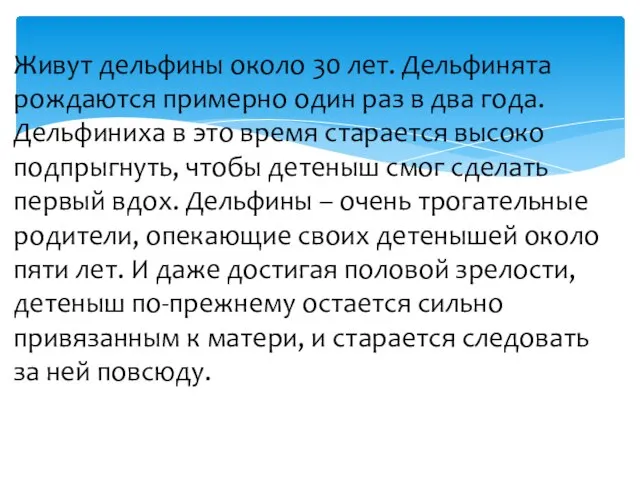 Живут дельфины около 30 лет. Дельфинята рождаются примерно один раз в два