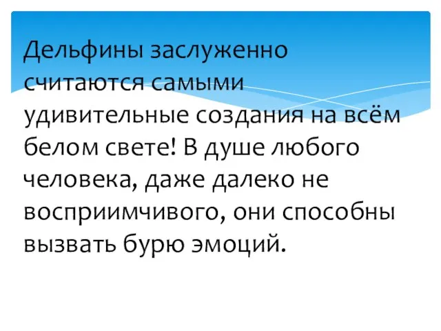 Дельфины заслуженно считаются самыми удивительные создания на всём белом свете! В душе