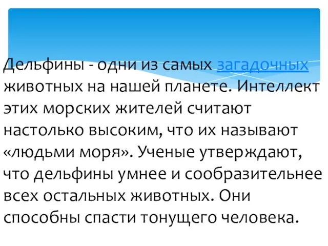 Дельфины - одни из самых загадочных животных на нашей планете. Интеллект этих