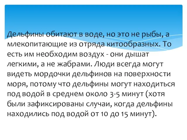 Дельфины обитают в воде, но это не рыбы, а млекопитающие из отряда