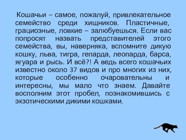 Кошачьи – самое, пожалуй, привлекательное семейство среди хищников. Пластичные, грациозные, ловкие –