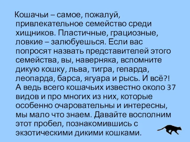 Кошачьи – самое, пожалуй, привлекательное семейство среди хищников. Пластичные, грациозные, ловкие –