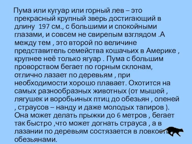 Пума или кугуар или горный лев – это прекрасный крупный зверь достигающий