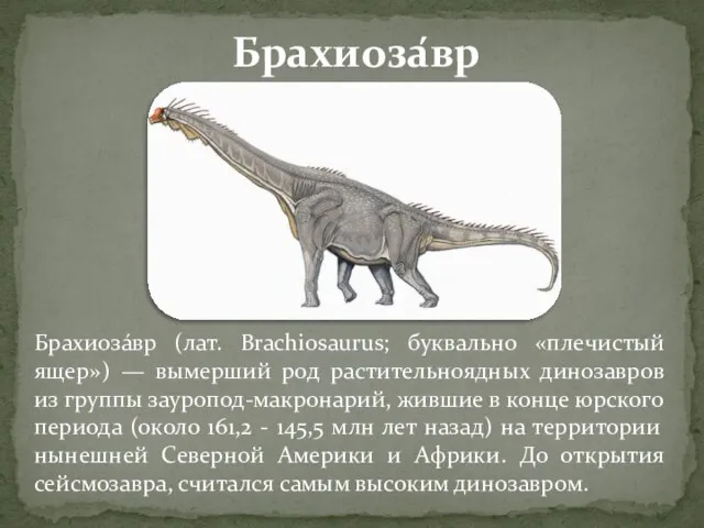 Брахиоза́вр (лат. Brachiosaurus; буквально «плечистый ящер») — вымерший род растительноядных динозавров из