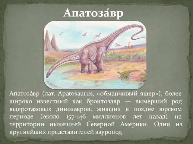 Апатоза́вр (лат. Apatosaurus, «обманчивый ящер»), более широко известный как бронтозавр — вымерший
