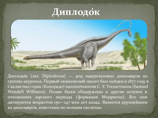 Диплодо́к (лат. Diplodocus) — род ящеротазовых динозавров из группы зауропод. Первый окаменелый