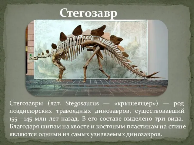 Стегозавры (лат. Stegosaurus — «крышеящер») — род позднеюрских травоядных динозавров, существовавший 155—145