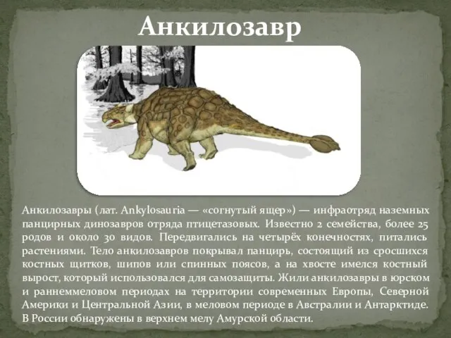 Анкилозавры (лат. Ankylosauria — «согнутый ящер») — инфраотряд наземных панцирных динозавров отряда