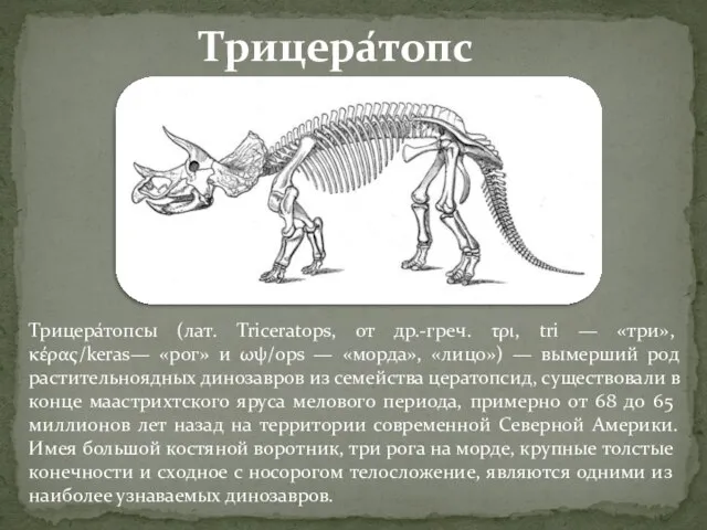 Трицера́топсы (лат. Triceratops, от др.-греч. τρι, tri — «три», κέρας/keras— «рог» и