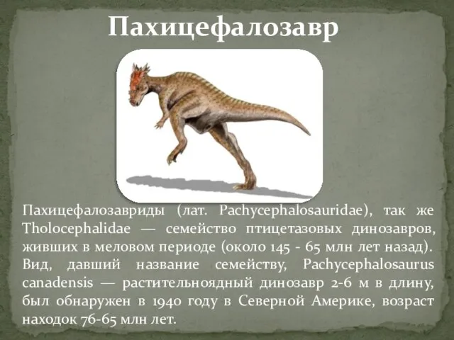 Пахицефалозавриды (лат. Pachycephalosauridae), так же Tholocephalidae — семейство птицетазовых динозавров, живших в