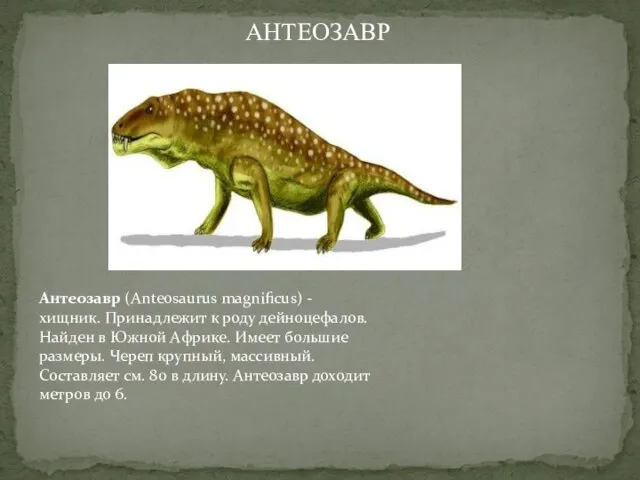 Антеозавр (Anteosaurus magnificus) - хищник. Принадлежит к роду дейноцефалов. Найден в Южной
