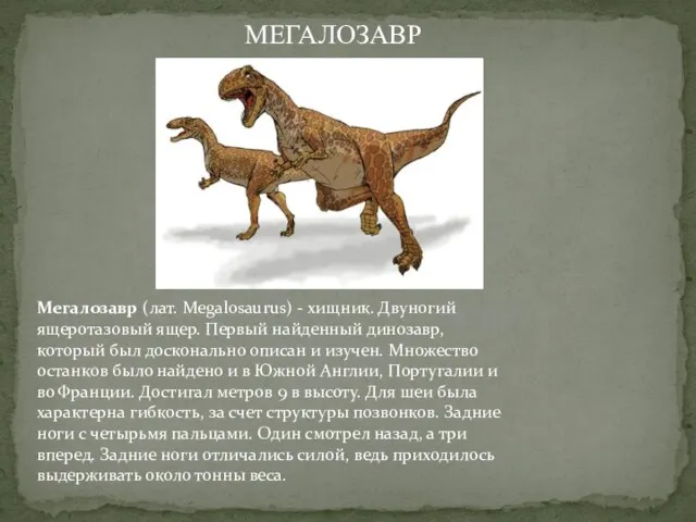Мегалозавр (лат. Megalosaurus) - хищник. Двуногий ящеротазовый ящер. Первый найденный динозавр, который