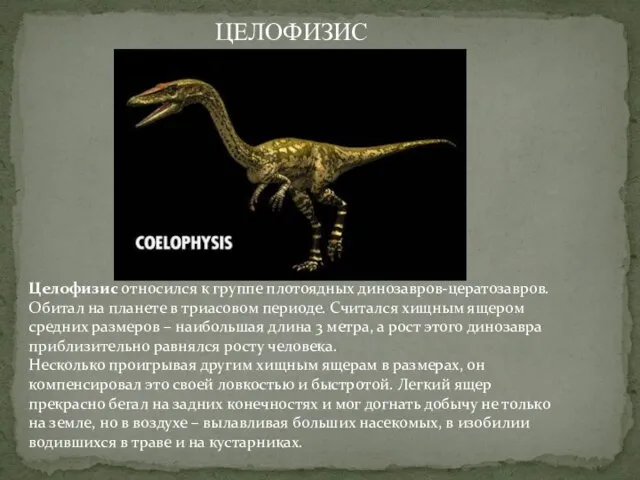 Целофизис относился к группе плотоядных динозавров-цератозавров. Обитал на планете в триасовом периоде.
