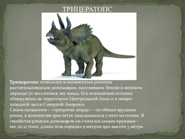 Трицератопс относился к знаменитым рогатым растительноядным динозаврам, населявшим Землю в меловом периоде