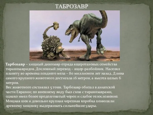 Тарбозавр – хищный динозавр отряда ящеротазовых семейства тиранозавридов. Дословный перевод – ящер-разбойник.