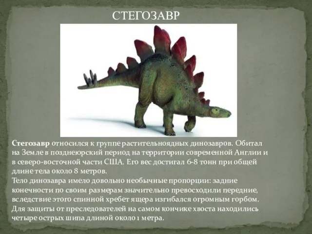 Стегозавр относился к группе растительноядных динозавров. Обитал на Земле в позднеюрский период