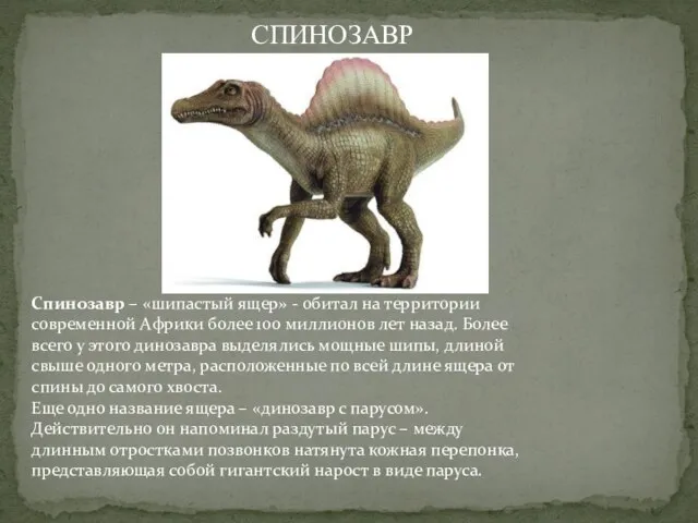 Спинозавр – «шипастый ящер» - обитал на территории современной Африки более 100