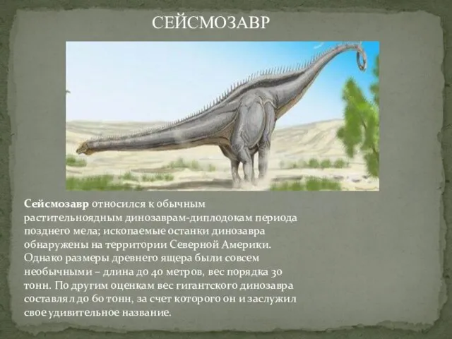 Сейсмозавр относился к обычным растительноядным динозаврам-диплодокам периода позднего мела; ископаемые останки динозавра