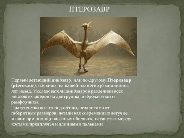 Первый летающий динозавр, или по-другому Птерозавр (pterosaur), появился на нашей планете 230