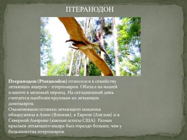 Птеранодон (Pteranodon) относился к семейству летающих ящеров – птерозавров. Обитал на нашей