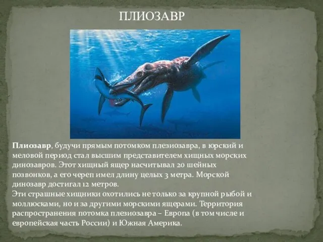 Плиозавр, будучи прямым потомком плезиозавра, в юрский и меловой период стал высшим