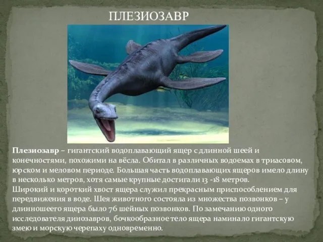 Плезиозавр – гигантский водоплавающий ящер с длинной шеей и конечностями, похожими на